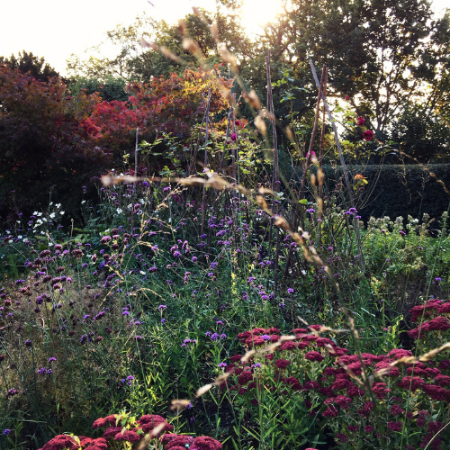 Along The Garden Path - Autumn Gardening Tips To Benefit Wildlife